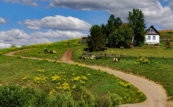 Деревенский мотив / ***