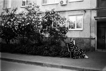 Пятна / Диафрагма f/16 iso400