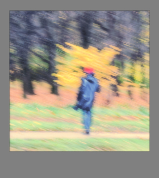 &nbsp; / ***