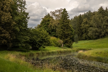 В Павловском парке / ***