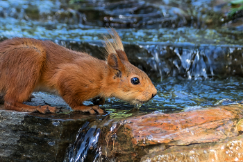 А без воды... / Жара жаркая.. )