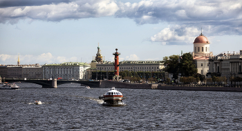 Лето. / Санкт-Петербург.