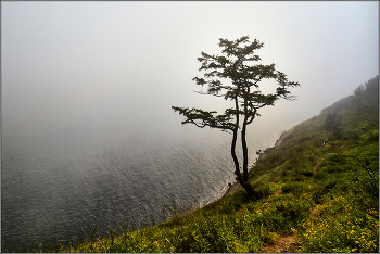 По байкальским берегам. / Байкал в районе Листвянки. Август.