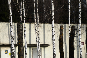 пиано / ***