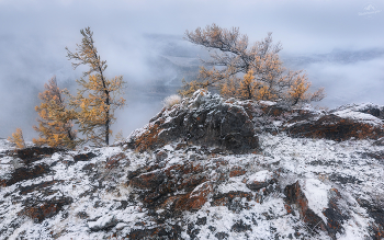 На семи ветрах .. / Горный Алтай, Курайская степь, урочище Таджилу (Тадилу).
(с) phototravel.pro