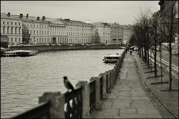 та самая ворона ... / ***