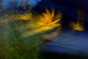 &nbsp; / ICM картинки.
