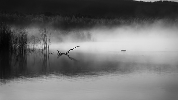 Тишина, которую можно услышать: утро рисует туман на глади воды. / ***
