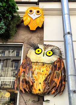 &nbsp; / ***