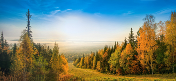Утро туманное / ***