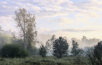 &nbsp; / Лето на Алтае