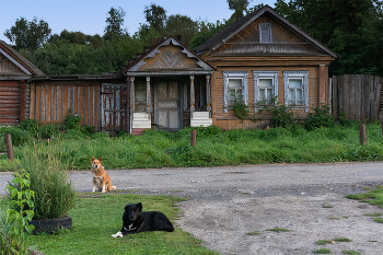 Сторожа... / 16-08-2026.
