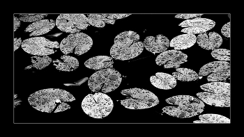 Объяли меня воды до души моей...6 / ...