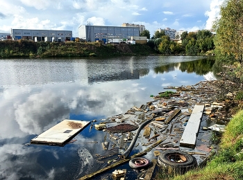 Пруд Глинка в Кучине (Московская область) / ***