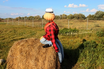 Присел отдохнуть... / ***