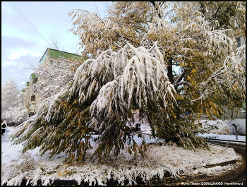Первый снег / Первый снег в городе