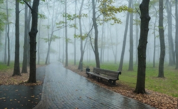 Вот и все... / Осенний парк. Минск