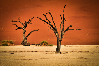 Намибийские истории... / ***