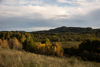 Осенний мотив / ***