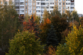 Цвета осени / ***