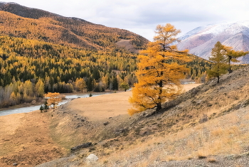 Краски осени / ***
