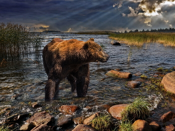 Испил водицы. / ***