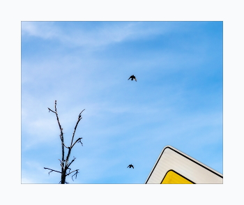 Вторжение / ***