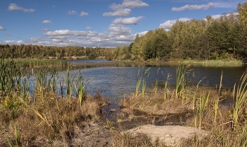 Осенний полдень / Сюжет из Подмосковья, старый карьер. Серпуховский район сентябрь 2026.