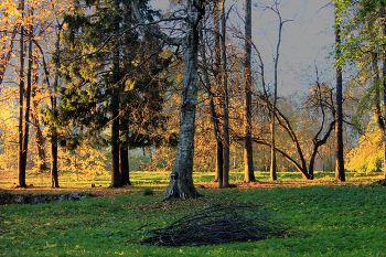 Вязанка хвороста / Утро в парке (Петрозаводск)