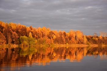Прощальная краса / Золото осени