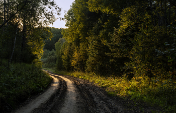&nbsp; / .....