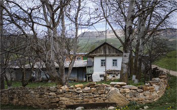 Предгорье Кавказа / ***