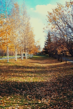 Золотая осень / ***