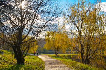 осенние зарисовки / осень, Москва, парк