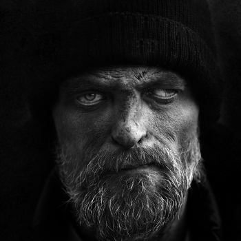 гамбит / ***