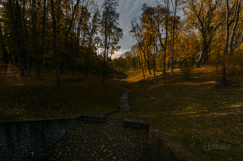 Осенняя картинка / Осенний парк в Богородицке