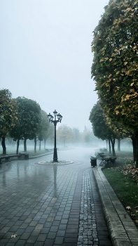Встречающий в тумане / Лошицкий парк . Минск