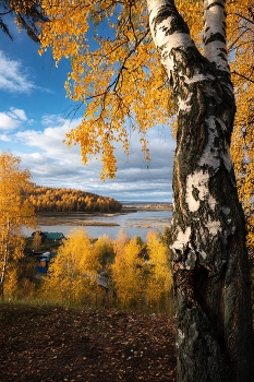 Ангарские виды / ***