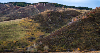 Краски осени / Рудный Алтай