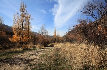 Осень / ***