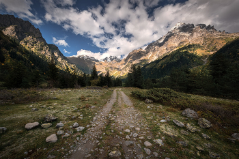 Mazeri Forest Path / Лесная дорожка в Мазери в окружении величественных пиков