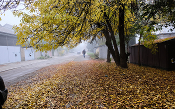 Утро туманное / Крым