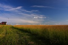 Перед покосом... / На следующий день траву уже скосили.