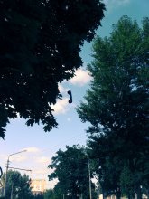 Позвоните птицам / Откуда что взялось - неизвестно