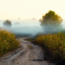 туманчег 2 / приятного просмотра- еще одна удача вчерашнего дня :)