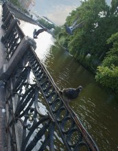 у Новой Голландии / Санкт-Петербург 2009