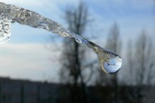 Улыбка ледозавра / *************