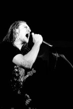 kaktooz / &quot;зебра&quot;
Витебск