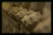 одна / из многих