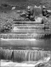 &nbsp; / однажды в лесу